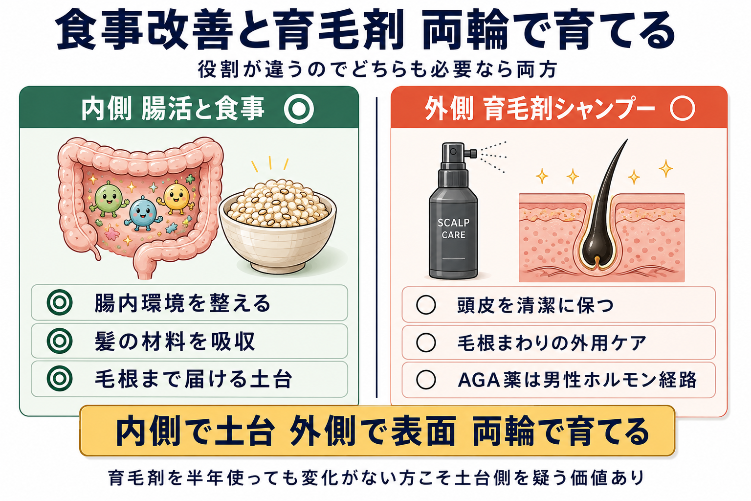 食事改善と育毛剤の役割分担