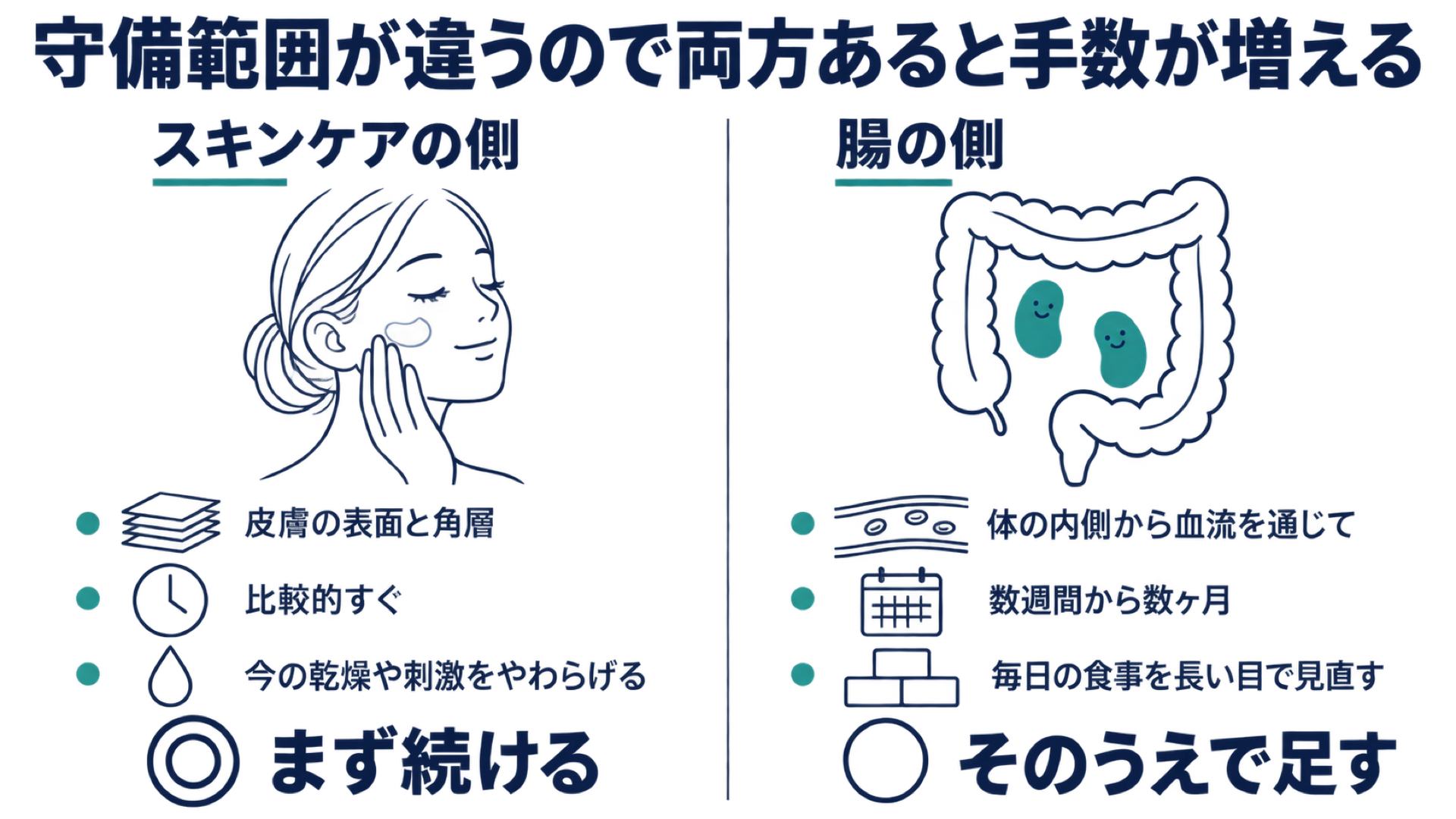スキンケアの側と腸の側の守備範囲を左右で比べた図解