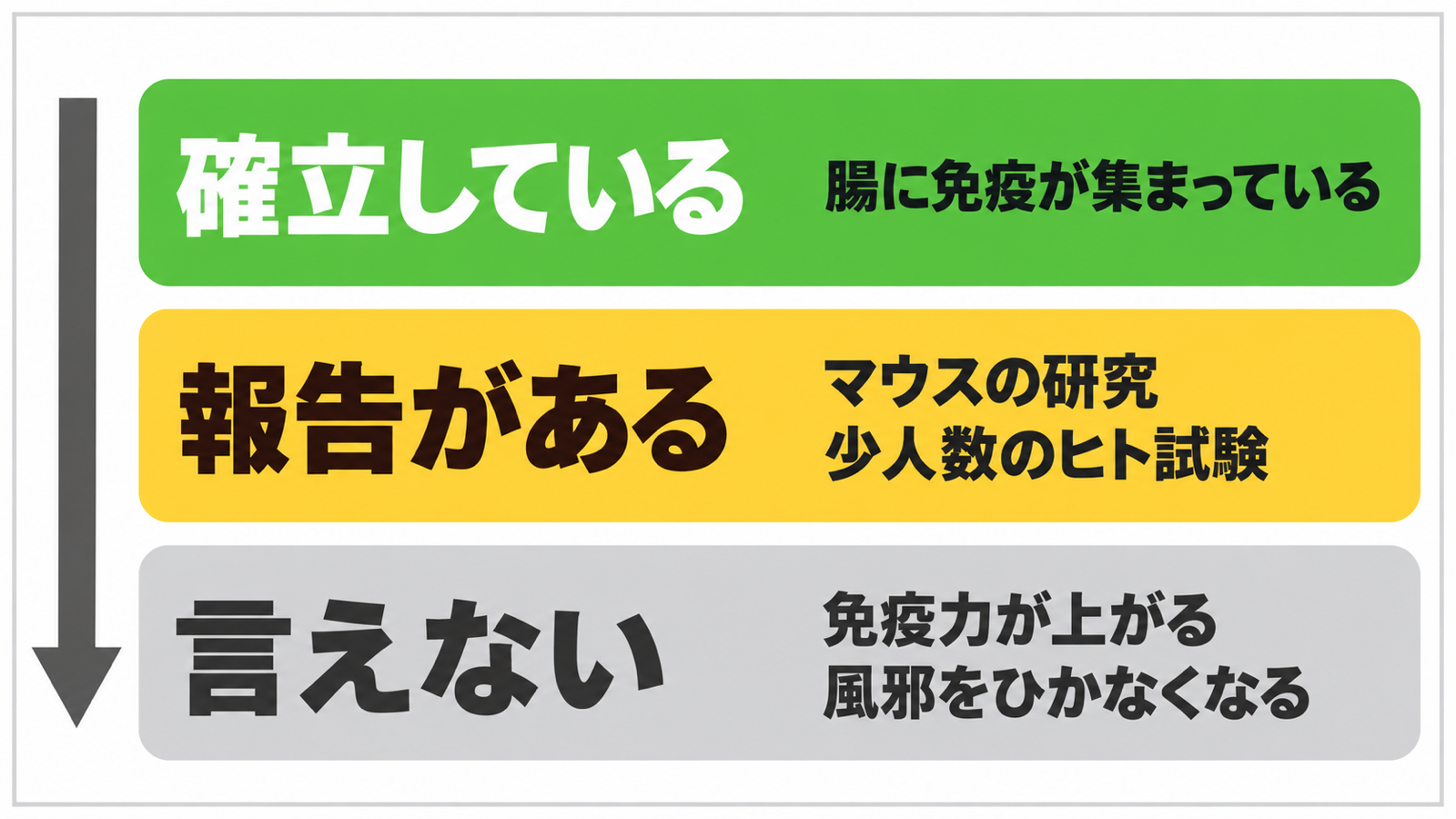 腸と免疫の話を確立していること・報告があること・言えないことの3段に分けた図