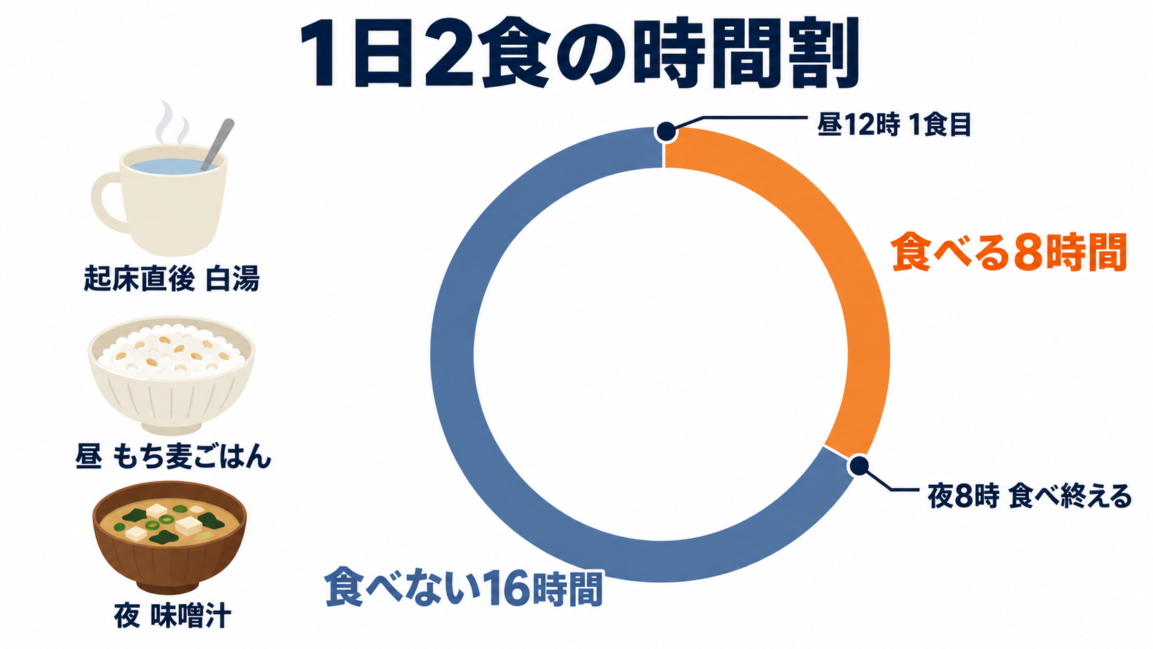 16時間食べない時間と8時間の食べる時間を1日の輪で示した図